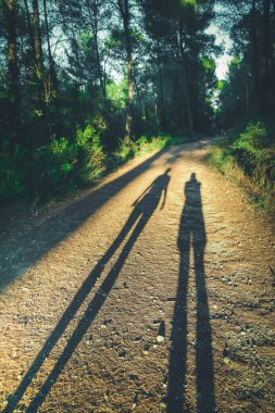 Aşık çiftlerin gölgesi ormanda geziyor ve koşuyor.