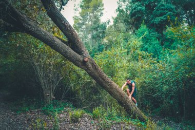 Genç ve güçlü bir adam ormandaki bir ağaca tırmanıyor. Yürüyüş yapan bir yürüyüşçü. Erkek yürüyüşçü ormanda yürürken yan tarafa bakıyor. Doğada beyaz erkek model var..