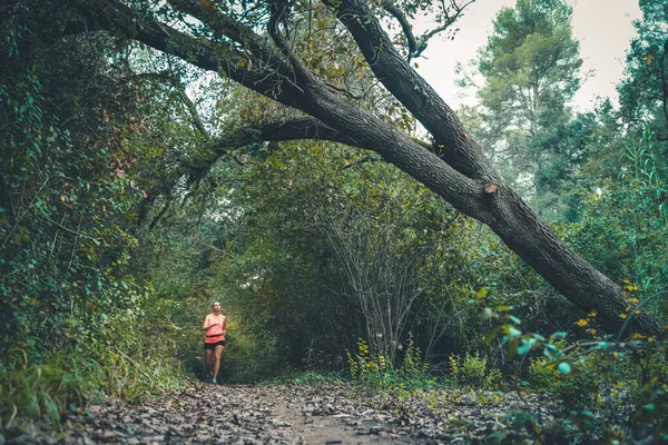 Hermosa Joven Caminando Bosque Joven Feliz Corredor Atractivo Mujer Trotar — Foto de Stock