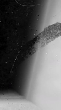 Film geçişleri yanar ve gürültü tahıl dokusu Retro vintage ekran punç deliği. Yüksek kalite 4k görüntü