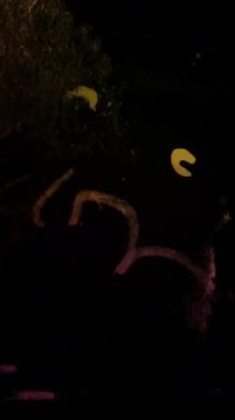 Dikey Grunge karalama dokusu. Delikler, toz ve eski hasarlı yüzey çizikleri.