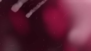 Klasik toz ve ışık sızıntısı. Yüksek kalite 4k görüntü