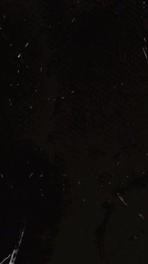 Dikey Grunge Film Efekti ve Sinematik Görünüm için Fırça Efekti Yüksek kalite 4k görüntü