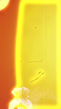 Grunge kripto para aksaklığı geçişleri örtüşüyor. Yüksek kalite 4k görüntü