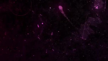 Parlak pembe karalamalı film lideri Cine eski bir kaplama filtresi işareti. Yüksek kalite 4k görüntü