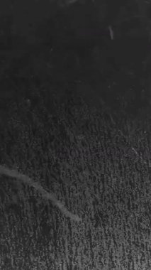 Ürkütücü cadılar bayramı örümcek ağları ve yarasalarla dolu..