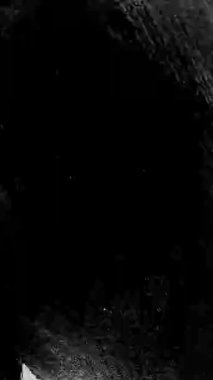 Eski film efektleri çizikler, toz parçacıkları, fırça lekeleri ve lekeler. Yüksek kalite 4k görüntü