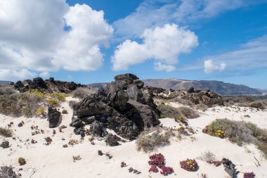 Caleton Blanco 'da volkanik kayalar, bitki örtüsü, kum ve mavi gökyüzü, Lanzarote, İspanya