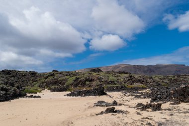 İspanya 'nın Lanzarote Kanarya Adaları' ndaki Caleton Blanco sahilindeki volkanik kaya ve bitki örtüsü manzarası