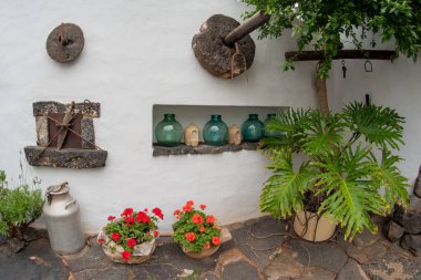 Ispanya 'daki Ianzarote Gran Kanaryaları adasındaki geleneksel gelenek ve adetlerine uygun güzel bir bahçe manzarası.