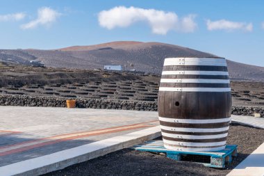Üzümlerin işlendiği bir üzüm bağının manzarası ve nefis şarabın çıkarıldığı Lanzarote, Kanarya Adaları İspanya