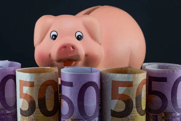 Image of ceramic piggy bank with a funny pig figure resting its head on euro banknotes