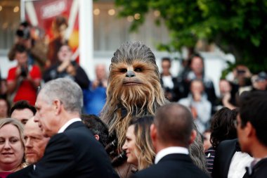 Chewbacca 15 Mayıs 2018 'de Cannes, Fransa' da düzenlenen 71. Cannes Film Festivali sırasında 'Solo: A Star Wars Story' gösterimine katıldı.. 