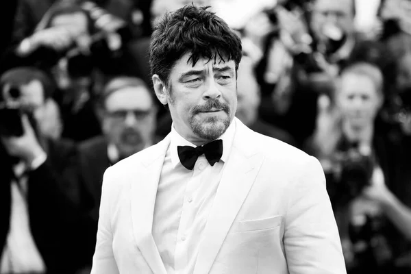 Cannes Frankrike Maj Benicio Del Toro Deltar Visningen Everyone Knows — Stockfoto