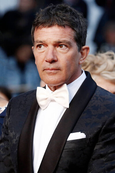 Cannes France May Antonio Banderas Attends Premiere Movie Pain Glory Stock Picture