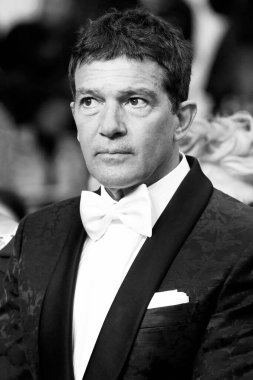Antonio Banderas, 17 Mayıs 2019 'da Fransa' nın Cannes kentinde düzenlenen 72. Cannes Film Festivali sırasında 