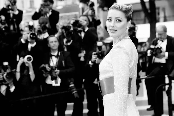 在2019年5月15日于法国戛纳举行的第72届戛纳电影节上 Amber Heard出席了 Les Miserables 的首映式 — 图库照片