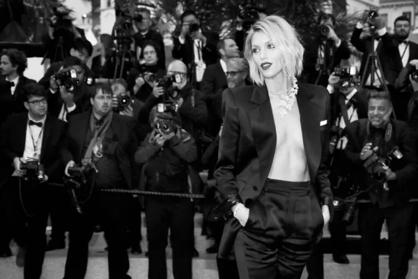 Cannes Francie Května Anja Rubiková Zúčastní Premiéry Filmu Bolest Sláva — Stock fotografie