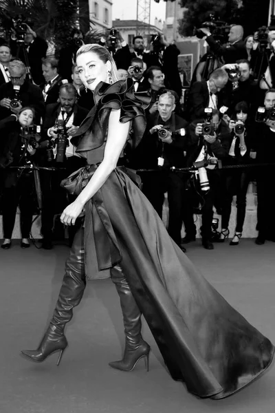Kannes Francja Maj Amber Heard Uczestniczy Premierze Filmu Ból Chwała — Zdjęcie stockowe