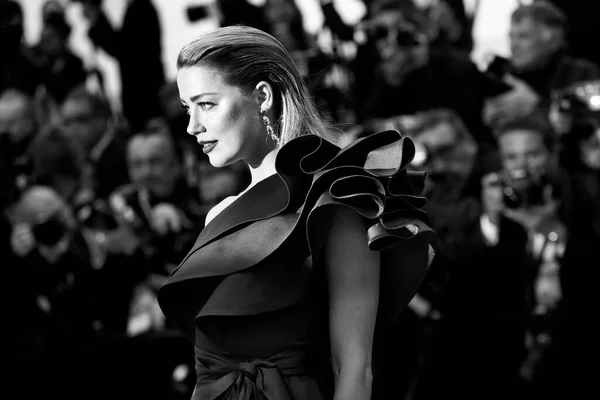 Cannes França Maio Amber Heard Participa Estreia Filme Dor Glória — Fotografia de Stock