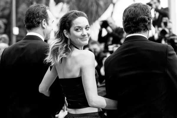 Cannes Francia Mayo Marion Cotillard Asiste Estreno Película Belle Epoque —  Fotos de Stock