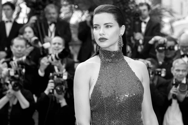 Cannes France Μαΐου Adriana Lima Παρευρίσκεται Στην Πρεμιέρα Της Ταινίας — Φωτογραφία Αρχείου