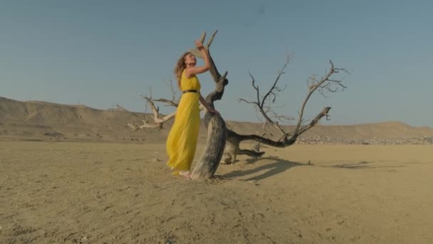 Fashion blonde model dalam pakaian kuning berpose di padang pasir, kayu kering, hari yang cerah — Stok Video