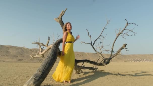 Fashion blonde model in yellow clothes posing in the desert,dried wood,sunny day — Stock Video