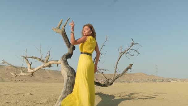 Fashion blonde model in yellow clothes posing in the desert,dried wood,sunny day — Stock Video