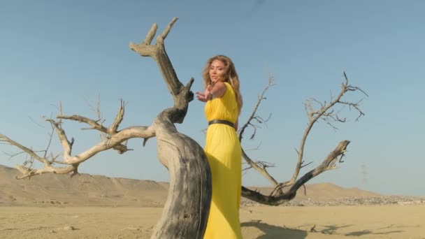 Fashion blonde model in yellow clothes posing in the desert,dried wood,sunny day — Stock Video