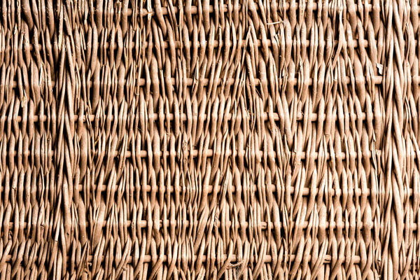 Wicker texture of dry branches.