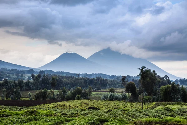Virunga Volkanı Milli Parkı, yatay, yeşil tarım alanları ön planda, Ruanda