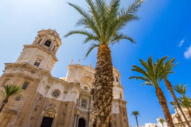 Cadiz Katedrali uzun boylu avuç ön planda, Cadiz, İspanya