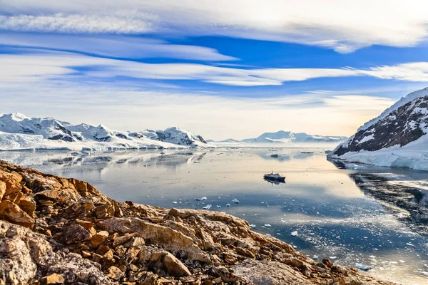 Antarktiszi Tengerjáró Hajó Között Icebergs Gentoo Pingvin Gyűlt Össze Parton — Stock Fotó