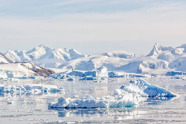 Ijsbergen Stilstaande Wateren Van Neco Baai Met Besneeuwde Bergen Gletsjers — Stockfoto