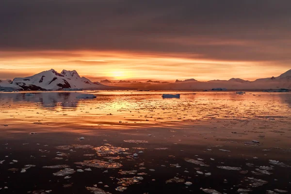 Naplemente Sodródó Jéghegyek Havas Csúcsai Háttér Csatorna Lemaire Antarktisz Déli — Stock Fotó