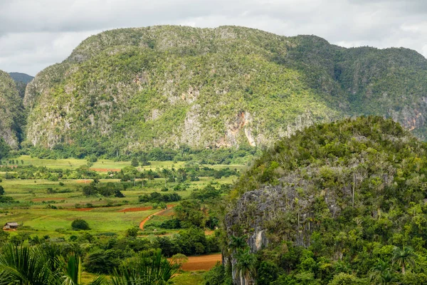 Lembah Karibia hijau dengan pemandangan perbukitan mogotes, Vinales, Pi — Stok Foto