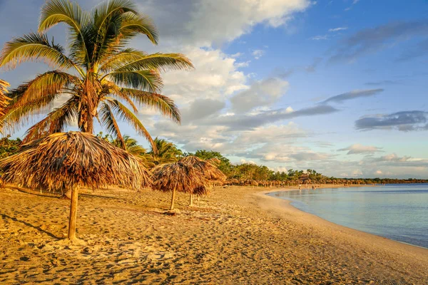 Rancho Luna playa de arena con palmeras y umrellas de paja en el sho — Foto de Stock