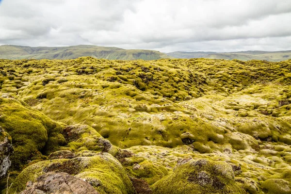 IJslandse lavavelden bedekt met mos panorama, Zuid-IJsland — Stockfoto