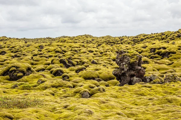 Campos de lava islandeses cobertos com panorama de musgo, Islândia do Sul — Fotografia de Stock