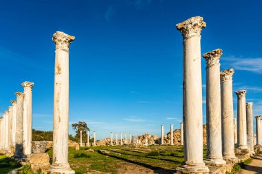 Salamis, Yunan ve Roma arkeoloji sahasında antik sütunlar,