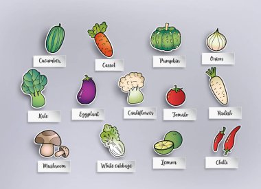 Kağıt kesme ve freehand sebze set çizim.