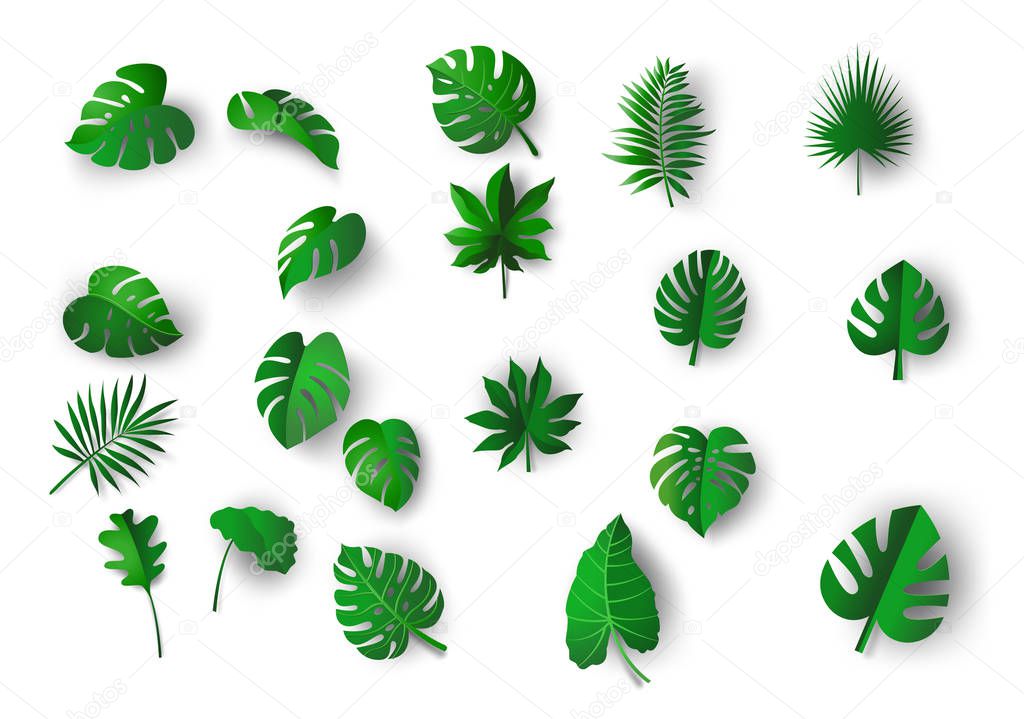 collection various of green Tropical leaves concept.