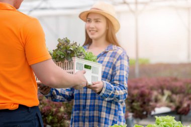 Teslimatçı, yeşil ev çiftliğinden yiyecek sepetini alıp müşteriye teslim ediyor. Market alışverişi konsepti.