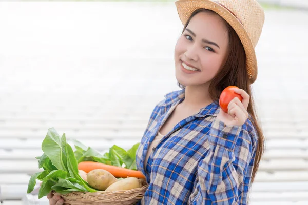 Joven Hermosa Mujer Asiática Sosteniendo Vegetales Hidropónicos Granja Alimentos Vegetales — Foto de Stock