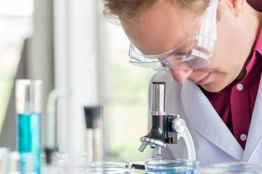 Bilim laboratuarında araştırma yaparken deney tüpüyle test yapan genç beyaz bilim adamları. 