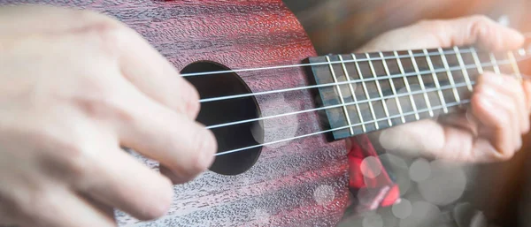 Maun Ukulele, koyu arkaplanda yakın plan.