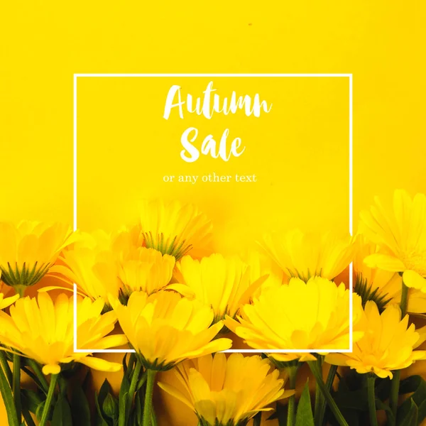 Yellow Marigold Text Autumn Sale Yellow Background — Stock Photo, Image