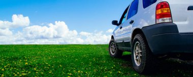 Sarı karahindibalı bir arazide mavi gökyüzüne karşı bulutlu bir cip.