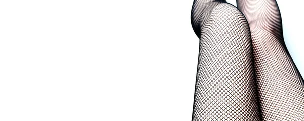 Women Legs Stockings Top View Close — Stock Photo, Image